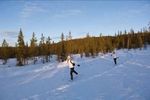150 km de cabane en cabane à travers la Laponie 8 jours et 7 nuits avec guide-accompagnateur Saison 2022 - Sandoz Concept