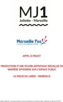 APPEL À PROJET PRODUCTION D'UNE ŒUVRE ARTISTIQUE INSTALLEE DE MANIÈRE EPHEMERE SUR L'ESPACE PUBLIC LA DIGUE DU LARGE - MARSEILLE