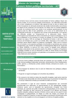 Master de Sociologie. Parcours Action publique territoriale - ACT
