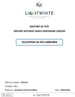CELESTRON C8 OTA SN903903 - RAPPORT DE TEST MESURE SUR BANC SHACK HARTMANN 100x100 - Lightwhite