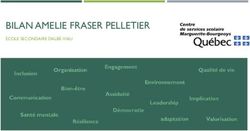 BILAN AMELIE FRASER PELLETIER - &Eacute;COLE SECONDAIRE DALB&Eacute;-VIAU