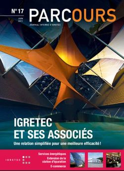 IGRETEC ET SES ASSOCI&Eacute;S - N 17
