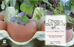 Jardin botanique de la réunion - Département de la Réunion