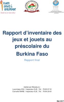 Rapport d'inventaire des jeux et jouets au préscolaire du Burkina Faso