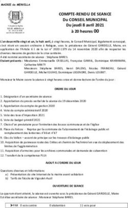 COMPTE-RENDU DE SEANCE Du CONSEIL MUNICIPAL - Du jeudi 8 avril 2021 &agrave; 20 heures 00 - MERVILLA