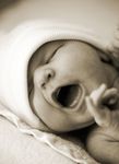 Dossier: D&eacute;sir d'enfant - le journal - Ligue Belge de la Scl&eacute;rose en Plaques