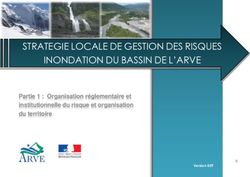STRATEGIE LOCALE DE GESTION DES RISQUES INONDATION DU BASSIN DE L'ARVE - Partie 1 : Organisation réglementaire et institutionnelle du risque et ...