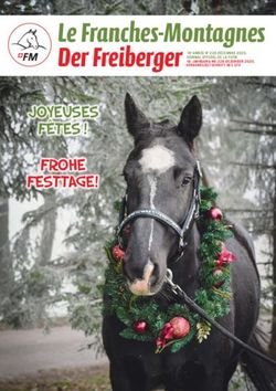 Le Franches-Montagnes - Der Freiberger 18e ANNÉE N 228 DÉCEMBRE 2020, FROHE FESTTAGE! - Schweizerischer Freibergerverband