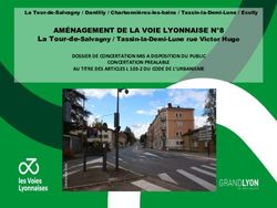 AM&Eacute;NAGEMENT DE LA VOIE LYONNAISE N 8