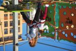 Natale in Aiacciu Programme D&eacute;tachable - Le rendez-vous annuel du 30 novembre au 6 janvier 2019 - Ajaccio.fr
