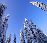 LAPONIE 2020 " GRANDEUR NATURE NUITS - Alpha-Sierra