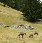 Curiosités et beautés entre - Annecy et Chamonix - Mobisenior