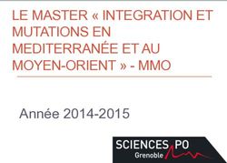 LE MASTER " INTEGRATION ET MUTATIONS EN MEDITERRAN&Eacute;E ET AU MOYEN-ORIENT " - MMO - Ann&eacute;e 2014-2015