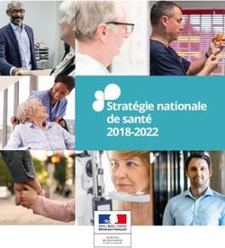 Stratégie nationale de santé 2018-2022 - Ministère des ...