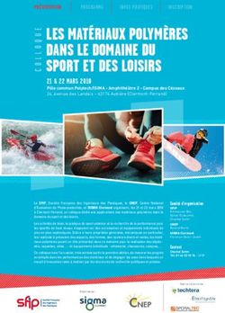 Les mat&eacute;riaux poLym&egrave;res dans Le domaine du sport et des Loisirs - Elastopole