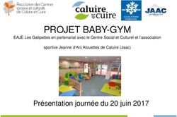 PROJET BABY-GYM - Pr&eacute;sentation journ&eacute;e du 20 juin 2017 - EAJE Les Galipettes en partenariat avec le Centre Social et Culturel et l'association