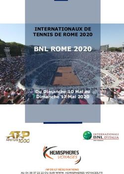 BNL ROME 2020 INTERNATIONAUX DE TENNIS DE ROME 2020 - Du Dimanche 10 Mai au Dimanche 17 Mai 2020 - Hemispheres Voyage