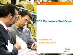 EDF Commerce Sud-Ouest - NOVEMBRE 2013 CHRISTOPHE GUITER