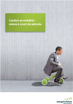 Confort et mobilité - même à court de pétrole - energy for future