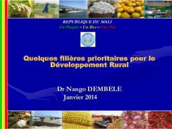 Dr Nango DEMBELE Janvier 2014 - REPUBLIQUE DU MALI Un Peuple-Un But-Une Foi Quelques filières prioritaires pour le - Ministère ...