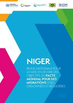 NIGER MONDIAL POUR DES MIGRATIONS S&Ucirc;RES, REVUE NATIONALE POUR LA MISE EN &OElig;UVRE DES OBJECTIFS DU PACTE