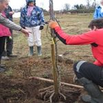 FORMATIONS à l' ARBORICULTURE FRUITIÈRE 2023 - VERGERS VIVANTS