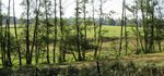 Plan d'Am&eacute;nagement Particulier " ZAEC Potaschberg " au Potaschberg