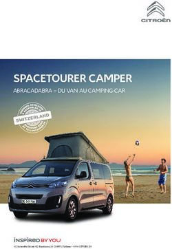 SPACETOURER CAMPER ABRACADABRA - DU VAN AU CAMPING-CAR - GARAGE DE BALLAIGUES SA