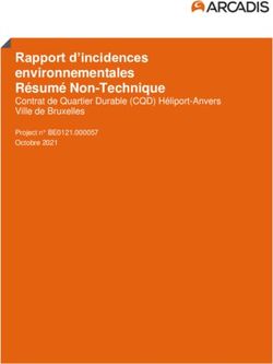 Rapport d'incidences environnementales R&eacute;sum&eacute; Non-Technique - Contrat de Quartier Durable (CQD) H&eacute;liport-Anvers Ville de Bruxelles