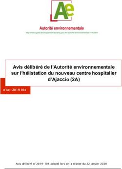 Avis délibéré de l'Autorité environnementale sur l'hélistation du nouveau centre hospitalier d'Ajaccio (2A) - CGEDD