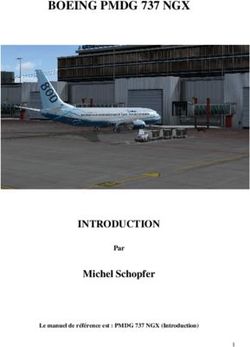 BOEING PMDG 737 NGX - INTRODUCTION Michel Schopfer Par