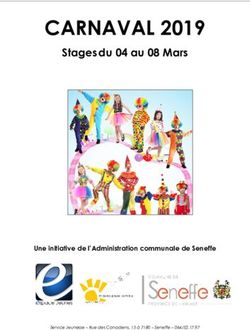 CARNAVAL 2019 Stages du 04 au 08 Mars - Une initiative de l'Administration communale de Seneffe