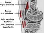 Imagerie de l'appareil extenseur du genou - Dr Eric Fumi&egrave;re CHU Charleroi 27/01/2018 - sfmss
