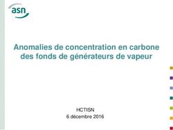 Anomalies de concentration en carbone des fonds de g&eacute;n&eacute;rateurs de vapeur - HCTISN 6 d&eacute;cembre 2016