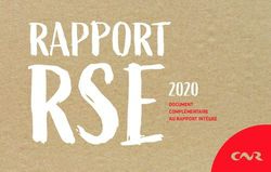 DOCUMENT COMPLÉMENTAIRE AU RAPPORT INTÉGRÉ - CNR