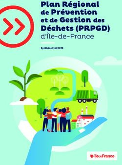 Plan Régional de Prévention - et de Gestion des Synthèse Mai 2019 - Région Île-de-France