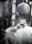 Faintly falling RALF MARSAULT - BEAU LIVRE - SORTIE : 30 OCTOBRE 2020 - AnthropoWeb