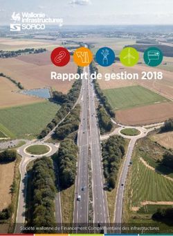 Rapport de gestion 2018 - Soci&eacute;t&eacute; wallonne de Financement Compl&eacute;mentaire des infrastructures - Sofico
