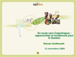 En route vers Copenhague : opportunit&eacute;s et incidences pour le Qu&eacute;bec - Steven Guilbeault