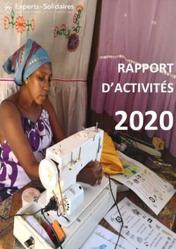 2020 RAPPORT D'ACTIVIT&Eacute;S - Experts-Solidaires