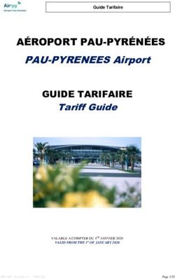 A&Eacute;ROPORT PAU-PYR&Eacute;N&Eacute;ES - PAU-PYRENEES Airport GUIDE TARIFAIRE - a&eacute;roport Pau
