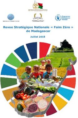 Revue Stratégique Nationale " Faim Zéro " de Madagascar - Juillet 2018 - ReliefWeb