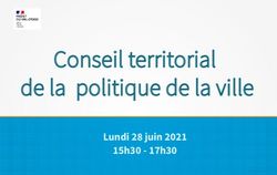 Conseil territorial de la politique de la ville - Lundi 28 juin 2021 15h30 - 17h30 - Pr&eacute;fecture du Val d'Oise