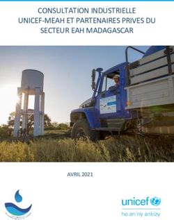 CONSULTATION INDUSTRIELLE UNICEF-MEAH ET PARTENAIRES PRIVES DU SECTEUR EAH MADAGASCAR - AVRIL 2021 EAU