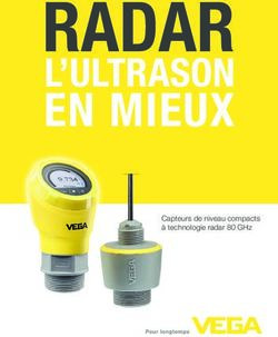 RADAR EN MIEUX L'ULTRASON - Capteurs de niveau compacts à technologie radar 80 GHz - Vega
