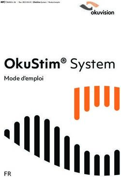 OkuStim System Mode d'emploi - FR - Okuvision