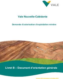 Vale Nouvelle-Calédonie - Livret B - Document d'orientation générale - Demande d'autorisation d'exploitation minière