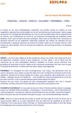 POZZUOLI - VESUVE - NAPLES - VULCANO - STROMBOLI - ETNA