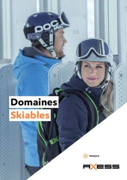 Domaines Skiables - Axess AG