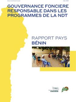 GOUVERNANCE FONCIERE RESPONSABLE DANS LES PROGRAMMES DE LA NDT - RAPPORT PAYS B&Eacute;NIN